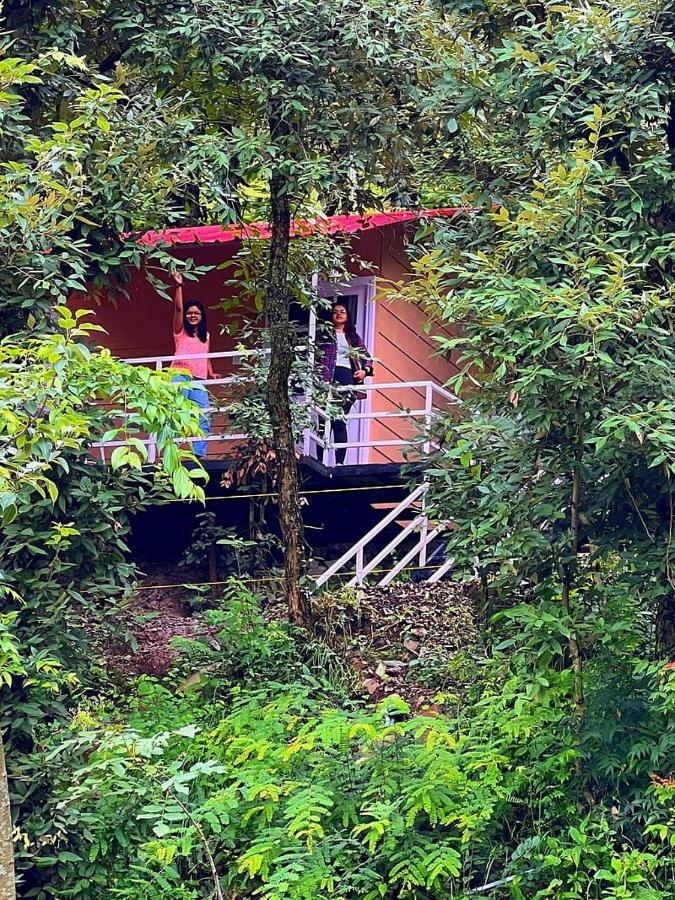 Aamod At Shoghi Luxury Cottage Resort Shimla Zewnętrze zdjęcie