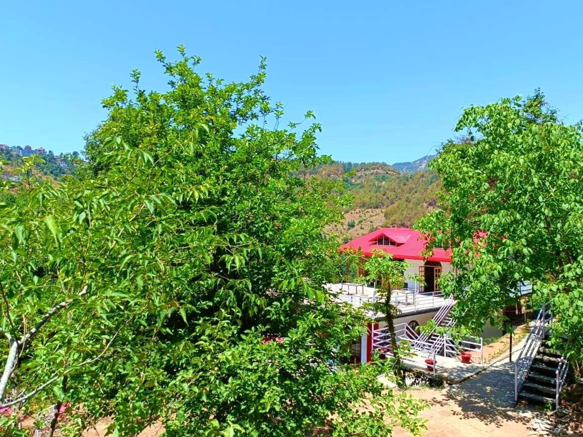 Aamod At Shoghi Luxury Cottage Resort Shimla Zewnętrze zdjęcie