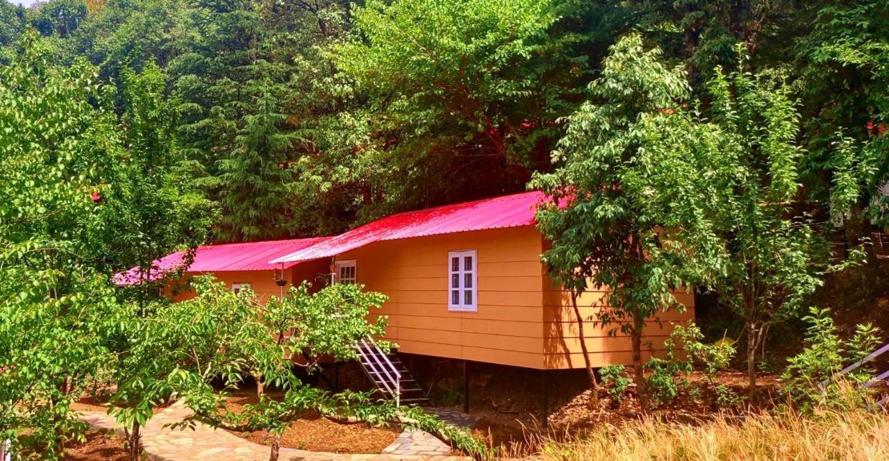 Aamod At Shoghi Luxury Cottage Resort Shimla Zewnętrze zdjęcie