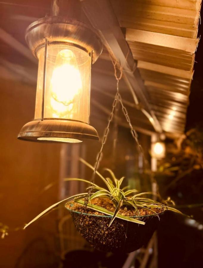 Aamod At Shoghi Luxury Cottage Resort Shimla Zewnętrze zdjęcie