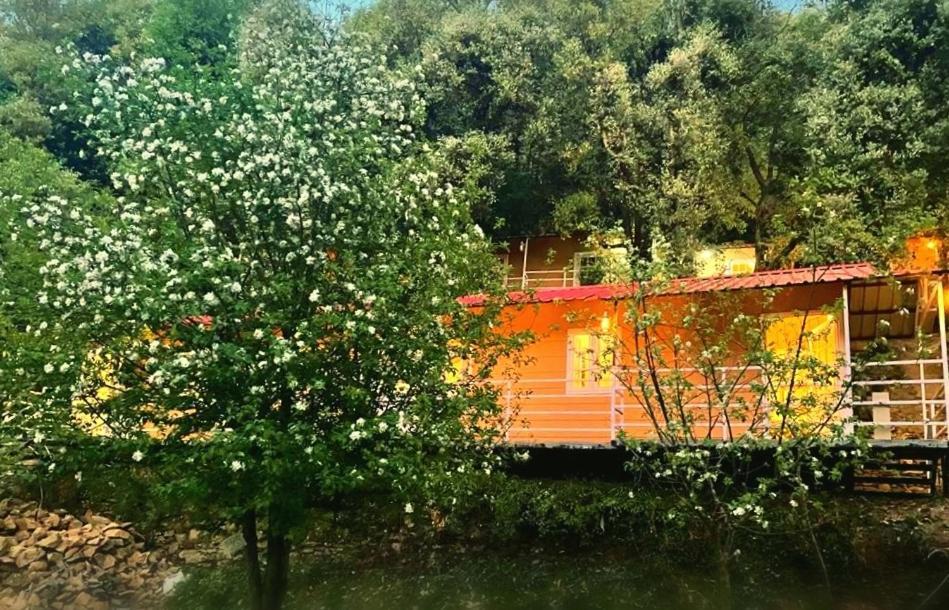Aamod At Shoghi Luxury Cottage Resort Shimla Zewnętrze zdjęcie