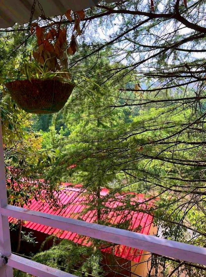 Aamod At Shoghi Luxury Cottage Resort Shimla Zewnętrze zdjęcie