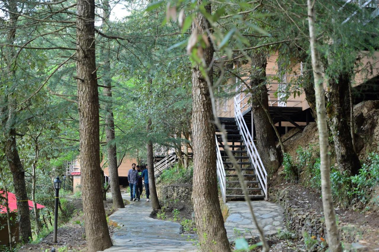 Aamod At Shoghi Luxury Cottage Resort Shimla Zewnętrze zdjęcie