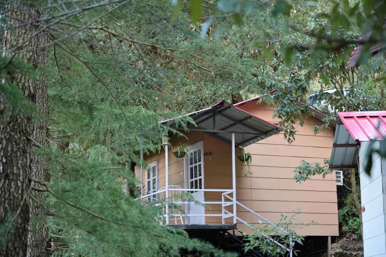 Aamod At Shoghi Luxury Cottage Resort Shimla Zewnętrze zdjęcie